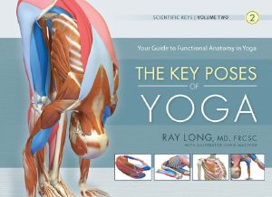 [Scientific Keys 02] • The Key Poses of Yoga